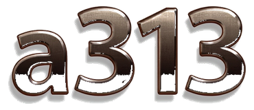 a313 logo